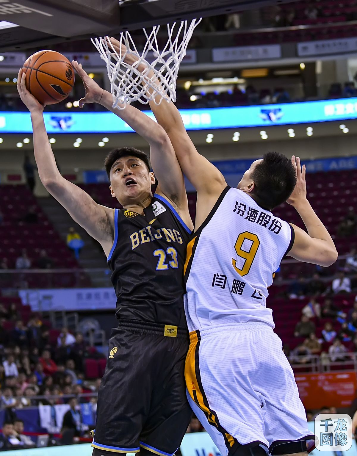 哥为核心的 哥为核心的