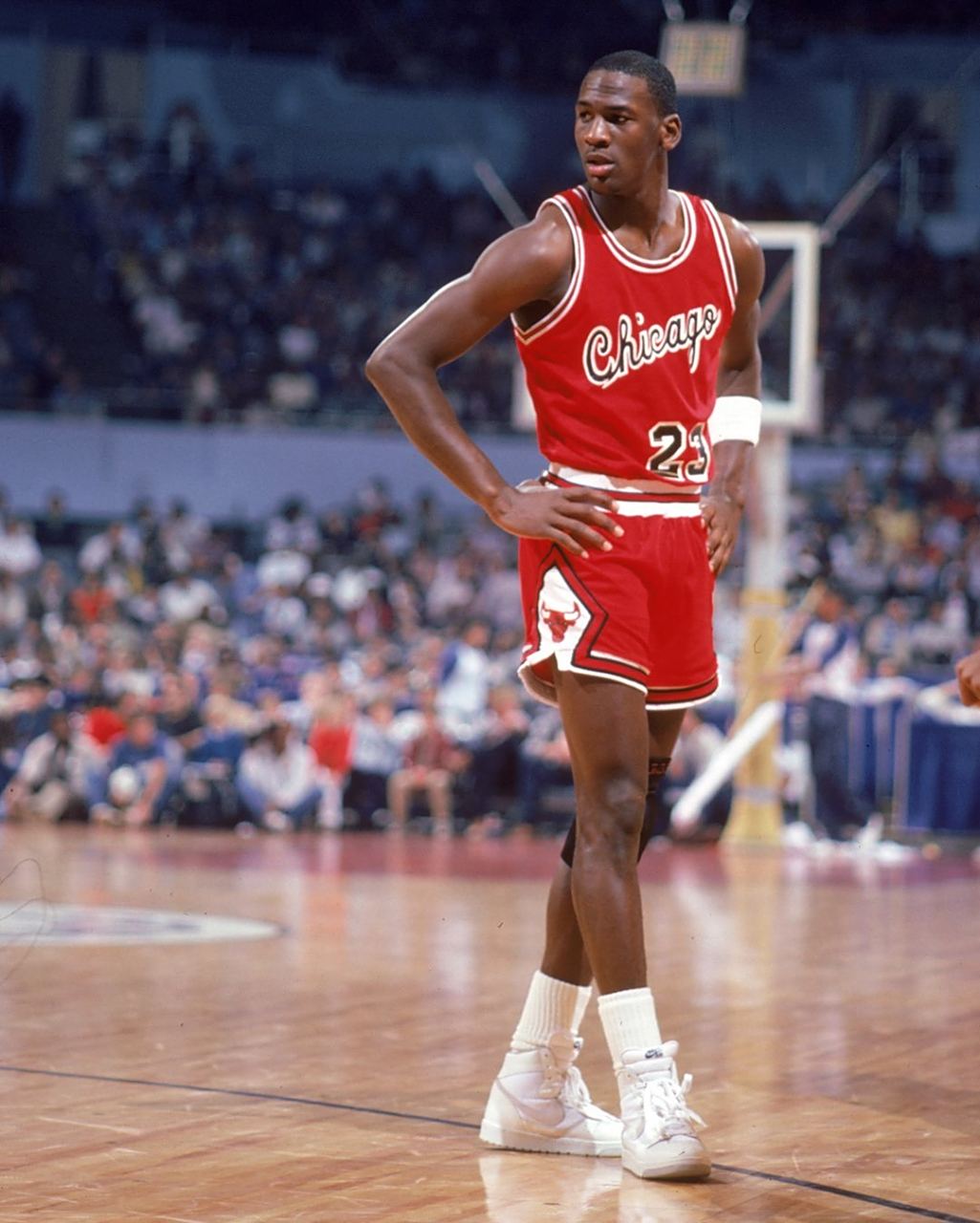 分享了她在 分享了她在